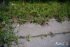 1407IMG_1457
