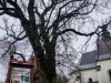 1416_img_4089_wynik