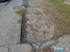 0826gh_wynik