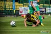 1717IMG_8411