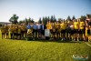 1856IMG_8688