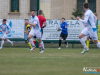 1412img_3223
