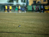 1550IMG_9494_wynik