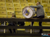 1833img_2531