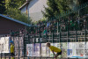 1836IMG_1292