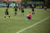 1346IMG_1985_wynik