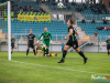 1519img_7339