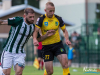1815img_7901