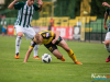 1849img_7949