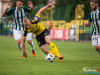 1849img_7950
