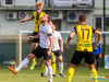 1519img_7350