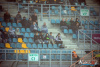1649IMG_8969_wynik