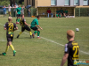 1109img_5574_wynik