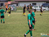 1208img_5597_wynik