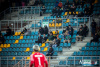 1533IMG_1113_wynik