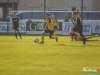 1736img_7222_wynik
