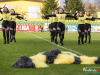 1553img_8218