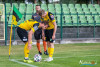 1749IMG_4498