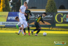 1528IMG_2667_wynik