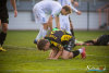 1557IMG_2736_wynik