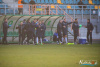 1600IMG_2763_wynik