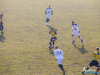 1317img_5579