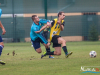 1309img_8919_wynik