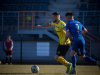 1539IMG_7506_wynik
