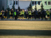 1600IMG_7637_wynik