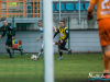1312img_5102_11_21_2015
