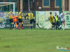 1344img_5138_11_21_2015