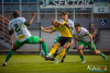 1633IMG_3804_wynik
