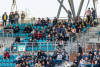 17371737IMG_8666