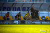 1749IMG_8432_wynik