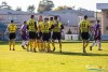1538IMG_0712