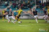1241IMG_3416