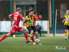 1106img_3748