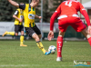 1106img_3750