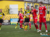 1141img_4312