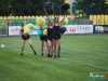 17-48img_6087