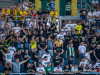 1833img_5228