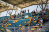 1559IMG_2807_wynik