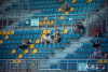 1133IMG_7782_wynik