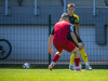 1144IMG_7811_wynik