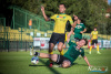 1733IMG_1958_wynik