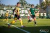 1734IMG_1961_wynik