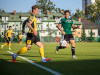 1734IMG_1961_wynik