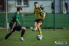 1531IMG_7963_wynik
