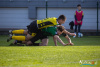 1539IMG_7986_wynik