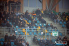 1428IMG_5225_wynik
